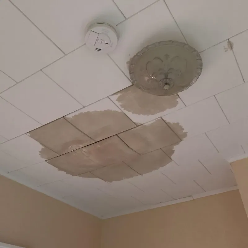 Ceiling Water Damage Repair in Moose Lake, MN