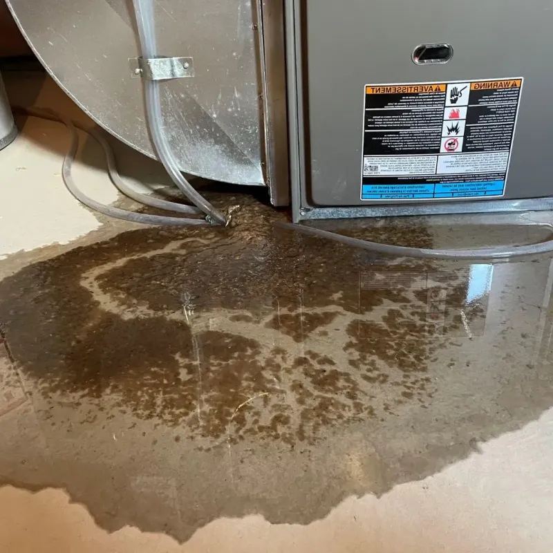Pipe Burst and Leak Restoration in Moose Lake, MN