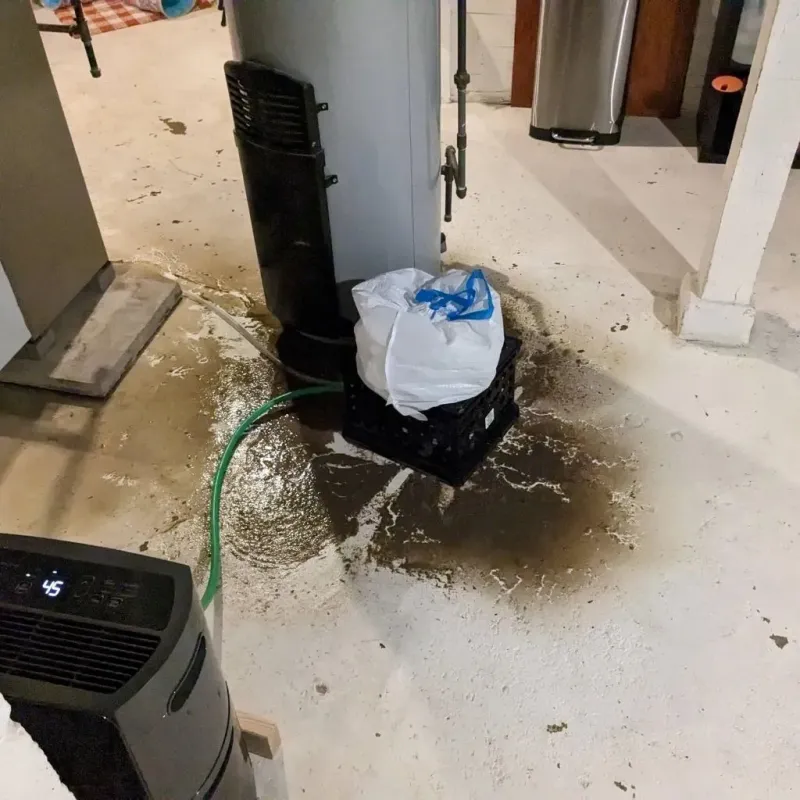 Sewage Backup Cleanup Service in Moose Lake, MN